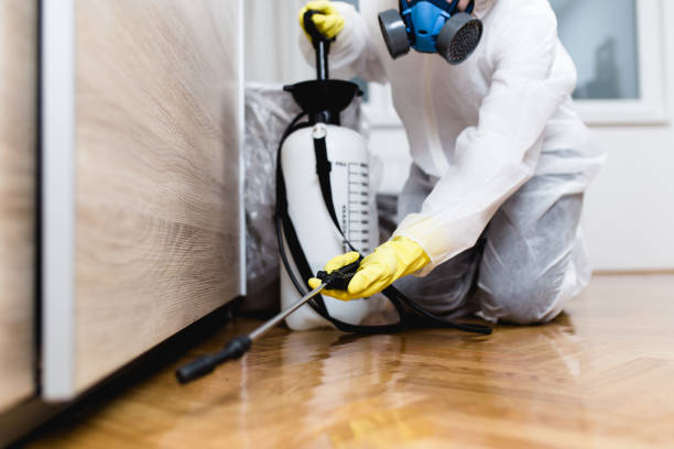 Pest Prevention Services in Bloomsburg, PA