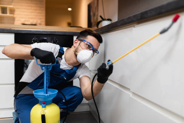 Best Residential Pest Control  in Bloomsburg, PA