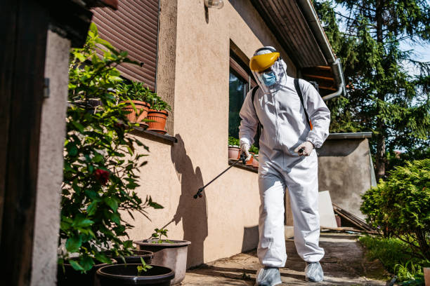 Best Local Pest Control Services  in Bloomsburg, PA