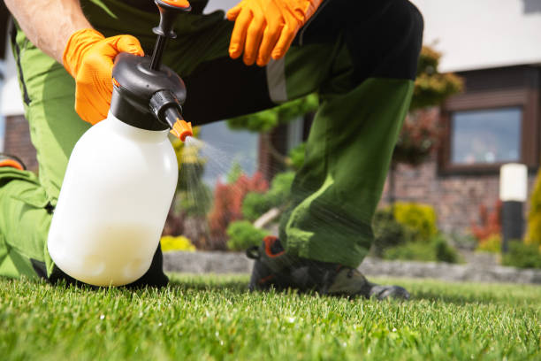 Best Rat Extermination Near Me  in Bloomsburg, PA