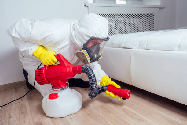 Best Termite Control Services  in Bloomsburg, PA