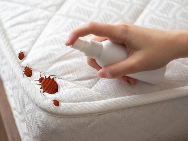 Best Affordable Pest Control Services  in Bloomsburg, PA