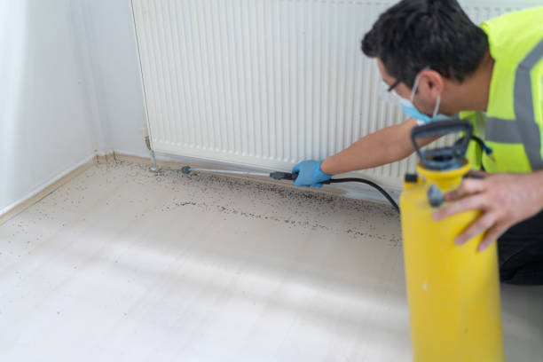 Best Commercial Pest Control Services  in Bloomsburg, PA