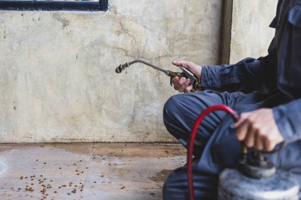 Best Flea Control Services  in Bloomsburg, PA